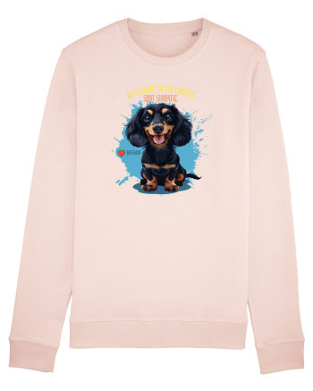 NU TREBUIE SA FIU CUMINTE, SUNT SIMPATIC - Dachsund / Teckel Candy Pink