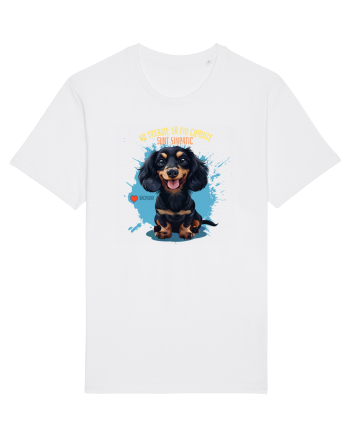 NU TREBUIE SA FIU CUMINTE, SUNT SIMPATIC - Dachsund / Teckel White