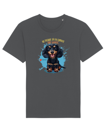 NU TREBUIE SA FIU CUMINTE, SUNT SIMPATIC - Dachsund / Teckel Anthracite