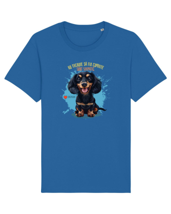 NU TREBUIE SA FIU CUMINTE, SUNT SIMPATIC - Dachsund / Teckel Royal Blue