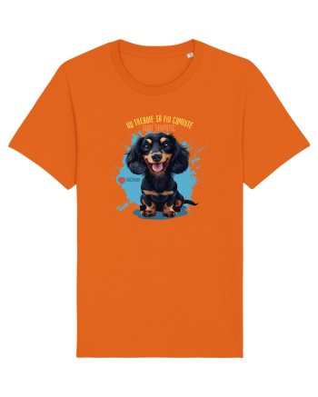 NU TREBUIE SA FIU CUMINTE, SUNT SIMPATIC - Dachsund / Teckel Bright Orange
