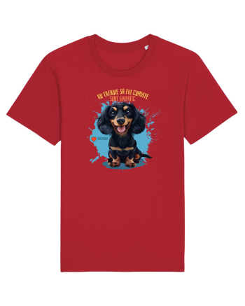 NU TREBUIE SA FIU CUMINTE, SUNT SIMPATIC - Dachsund / Teckel Red