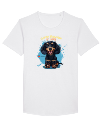 NU TREBUIE SA FIU CUMINTE, SUNT SIMPATIC - Dachsund / Teckel White