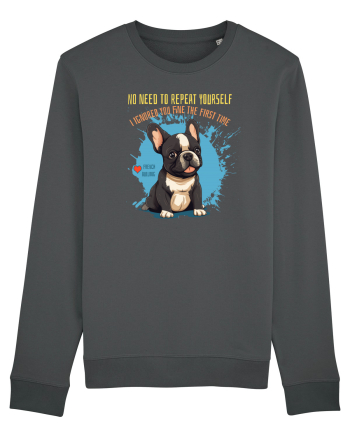 NU TREBUIE SA REPETI, TE_AM IGNORAT DE PRIMA DATA - French Bulldog Anthracite