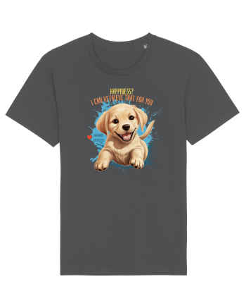 I CAN RETRIEVE HAPPINESS - Labrador Retriever Anthracite