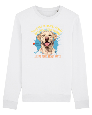 WHEN YOU`RE GOOD LOOKING - Labrador Retriever White