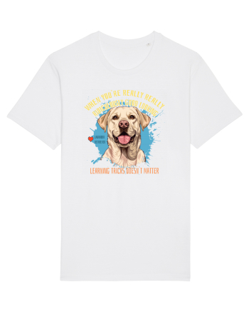 WHEN YOU`RE GOOD LOOKING - Labrador Retriever White