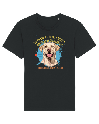 WHEN YOU`RE GOOD LOOKING - Labrador Retriever Black