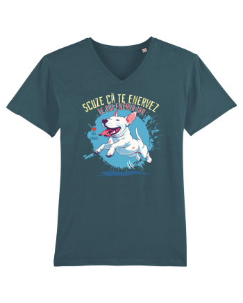 SCUZE CA TE ENERVEZ, TE VOI ENERVA IAR - Bull Terrier Stargazer