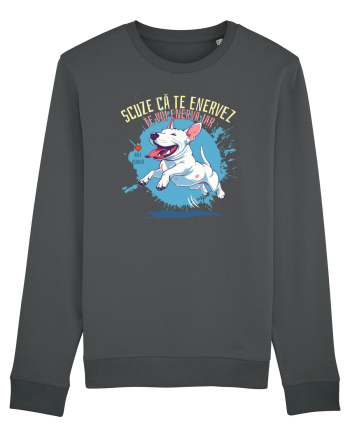 SCUZE CA TE ENERVEZ, TE VOI ENERVA IAR - Bull Terrier Anthracite