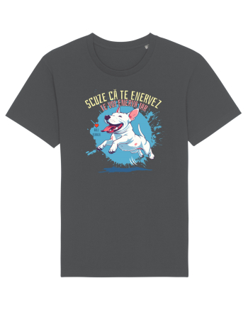 SCUZE CA TE ENERVEZ, TE VOI ENERVA IAR - Bull Terrier Anthracite