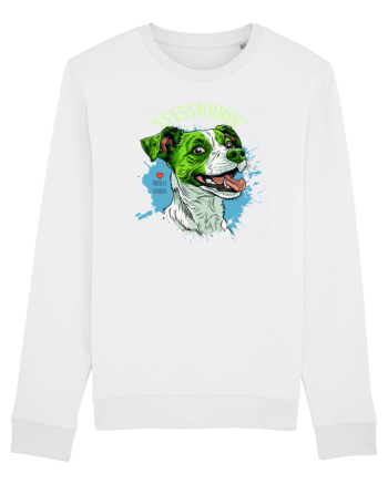 SMOKIN` ! - Russell Terrier White