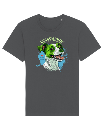 SMOKIN` ! - Russell Terrier Anthracite