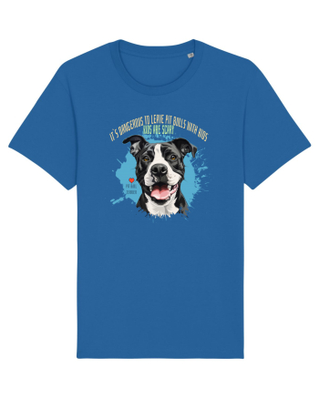 DANGEROUS TO LEAVE PITTBULLS WITH KIDS, KIDS  ARE SCARY - Pitbull Royal Blue