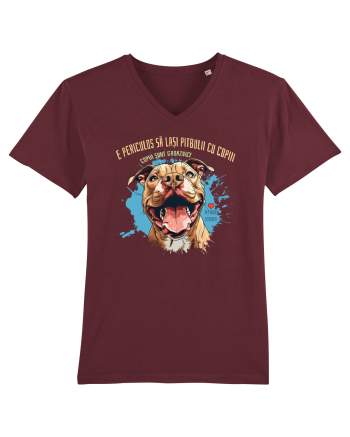PERICULOS SA LASI PITBULII CU COPIII, COPIII SUNT GROAZNICI - Pitbull Burgundy
