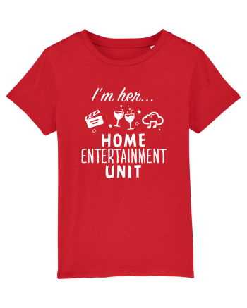 Home entertainment unit Red