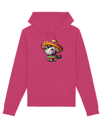 Magar cu sombrero Raspberry