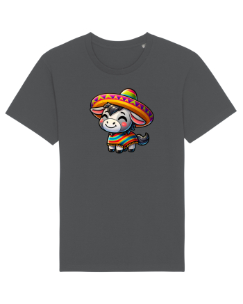 Magar cu sombrero Anthracite