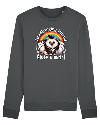 Pomeranian Amuzant Anthracite