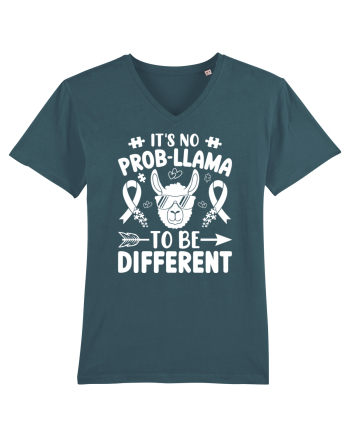 It's No Prob-Llama To Be Different Stargazer