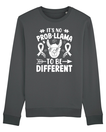 It's No Prob-Llama To Be Different Anthracite