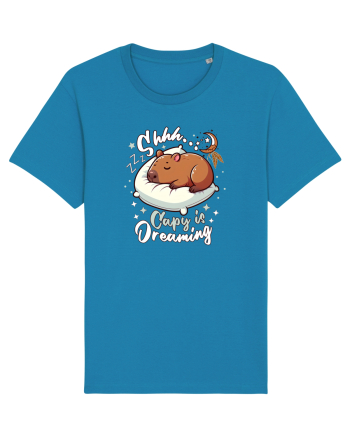 Capy Capybara Drăguț Somnoros Azur