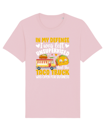 In my defense, I was left unsupervised and the taco truck was open Cotton Pink