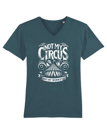 Not my Circus - not my monkey Stargazer