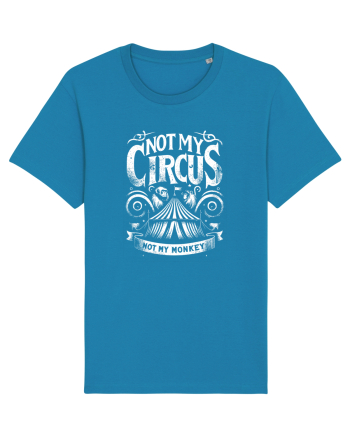 Not my Circus - not my monkey Azur
