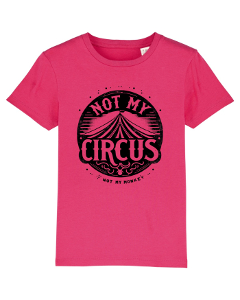 Not my Circus - not my monkey Raspberry