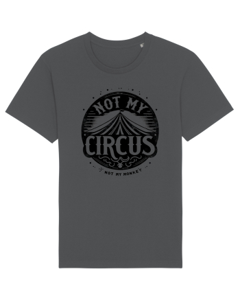 Not my Circus - not my monkey Anthracite
