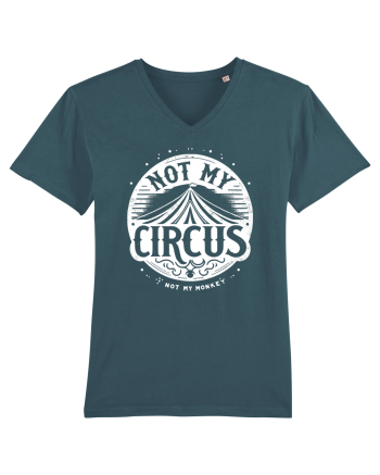 Not my Circus - not my monkey Stargazer