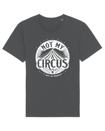 Not my Circus - not my monkey Anthracite