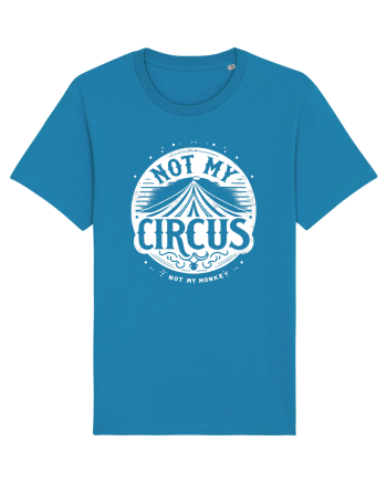 Not my Circus - not my monkey Azur