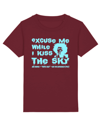 EXCUSE ME WHILE I KISS THE SKY - Jimi Hendrix 2 Burgundy