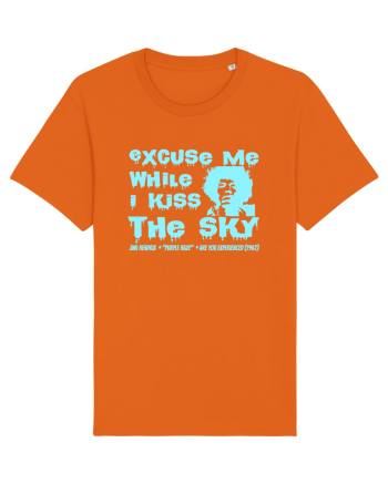 EXCUSE ME WHILE I KISS THE SKY - Jimi Hendrix 2 Bright Orange