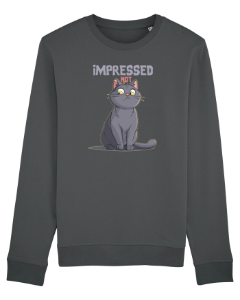 NOT IMPRESSED  Anthracite