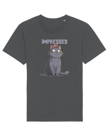 NOT IMPRESSED  Anthracite