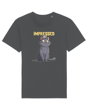 NOT IMPRESSED  2 Anthracite