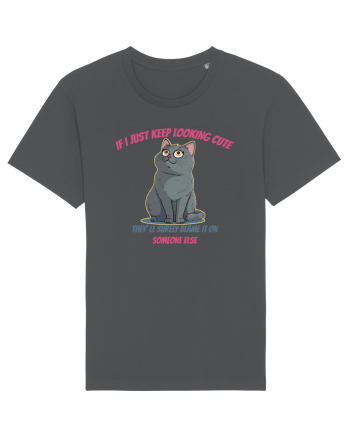 IF I KEEP LOOKING CUTE, THEY`LL BLAME IT ON SOMEONE ELSE Anthracite
