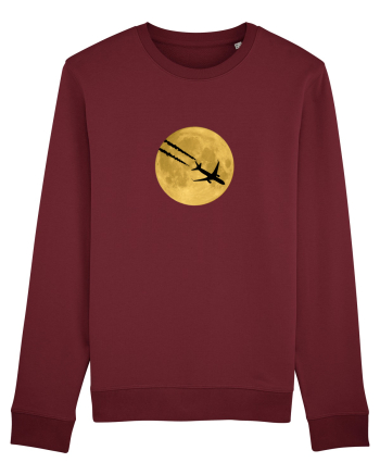 Avion peste luna Burgundy