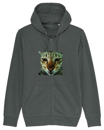 Cat mirage/Ce te miri? Anthracite