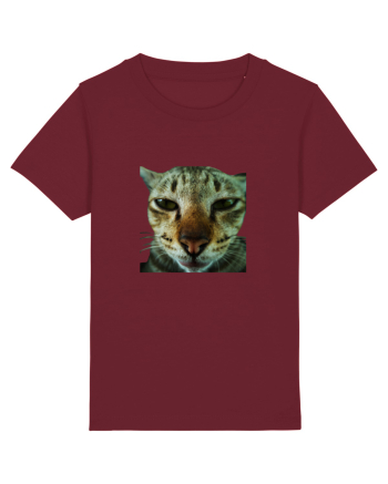 Cat mirage/Ce te miri? Burgundy