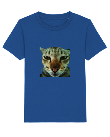 Cat mirage/Ce te miri? Majorelle Blue