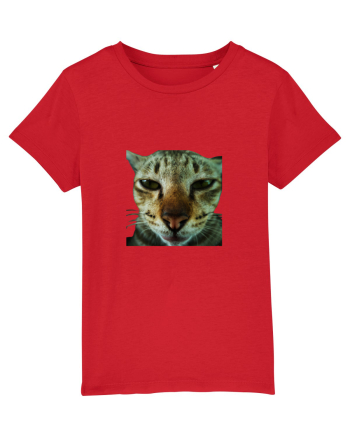Cat mirage/Ce te miri? Red