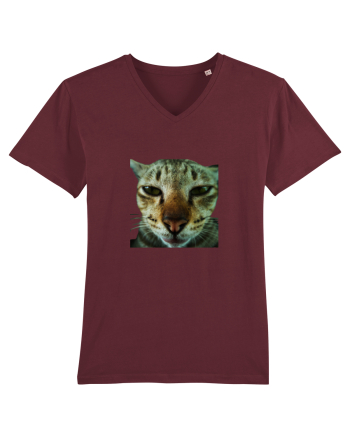 Cat mirage/Ce te miri? Burgundy