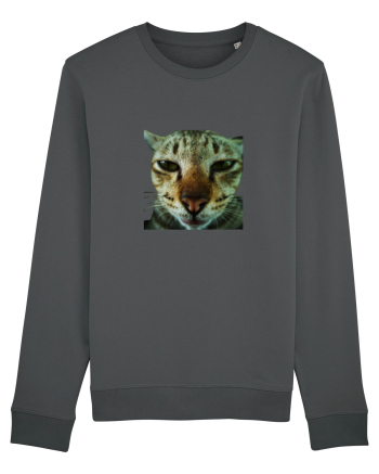 Cat mirage/Ce te miri? Anthracite