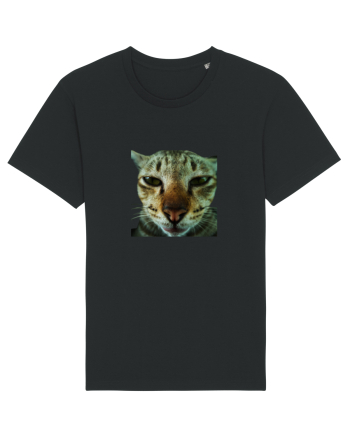 Cat mirage/Ce te miri? Black