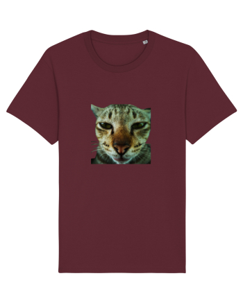Cat mirage/Ce te miri? Burgundy