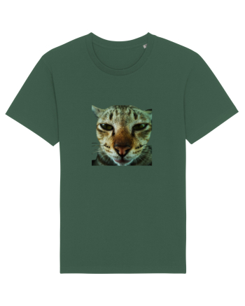 Cat mirage/Ce te miri? Bottle Green